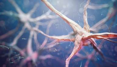 sinapsa neuronala